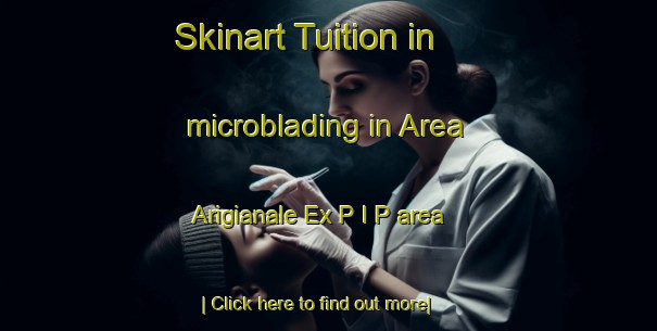 Skinart Tuition in microblading in Area Arigianale Ex P I P area-United Kingdom