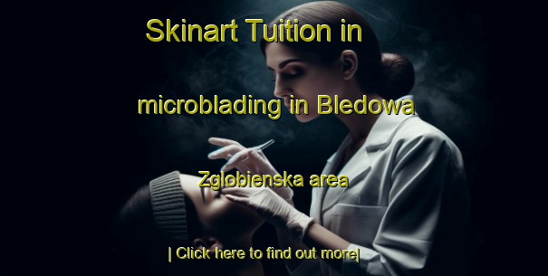 Skinart Tuition in microblading in Bledowa Zglobienska area-United Kingdom