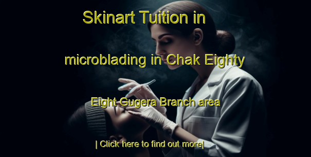 Skinart Tuition in microblading in Chak Eighty Eight Gugera Branch area-United Kingdom