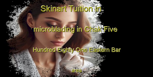 Skinart Tuition in microblading in Chak Five Hundred Eighty One Eastern Bar area-United Kingdom