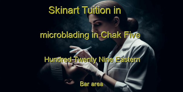 Skinart Tuition in microblading in Chak Five Hundred Twenty Nine Eastern Bar area-United Kingdom