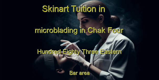 Skinart Tuition in microblading in Chak Four Hundred Eighty Three Eastern Bar area-United Kingdom