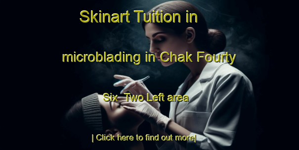 Skinart Tuition in microblading in Chak Fourty Six  Two Left area-United Kingdom