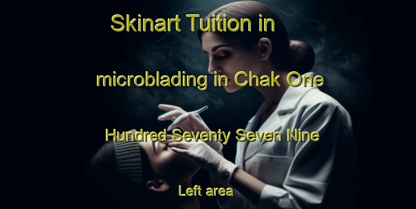 Skinart Tuition in microblading in Chak One Hundred Seventy Seven Nine Left area-United Kingdom