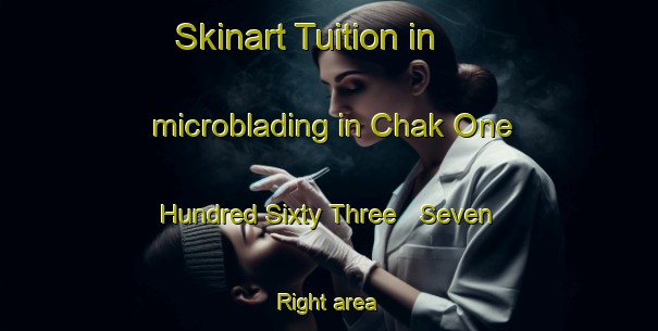 Skinart Tuition in microblading in Chak One Hundred Sixty Three   Seven Right area-United Kingdom