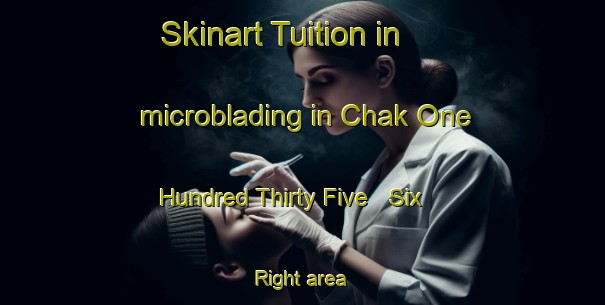 Skinart Tuition in microblading in Chak One Hundred Thirty Five   Six Right area-United Kingdom