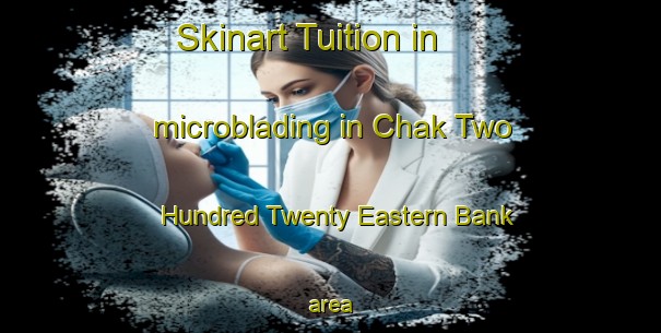 Skinart Tuition in microblading in Chak Two Hundred Twenty Eastern Bank area-United Kingdom