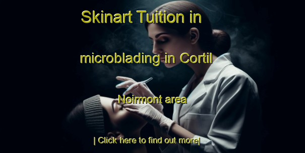 Skinart Tuition in microblading in Cortil Noirmont area-United Kingdom