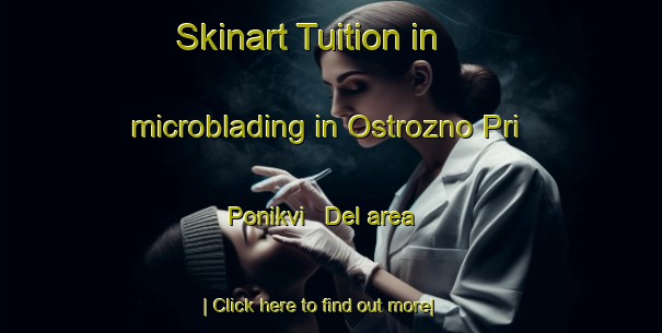 Skinart Tuition in microblading in Ostrozno Pri Ponikvi   Del area-United Kingdom