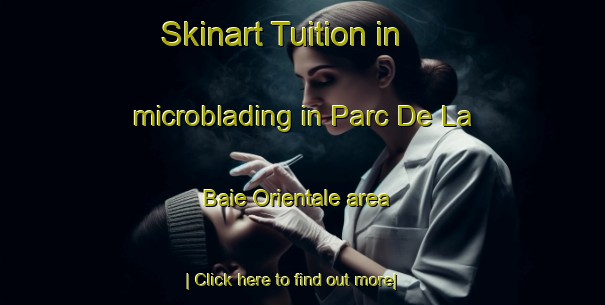 Skinart Tuition in microblading in Parc De La Baie Orientale area-United Kingdom