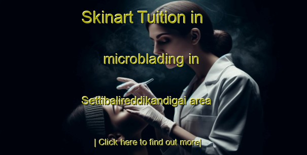 Skinart Tuition in microblading in Settibalireddikandigai area-United Kingdom