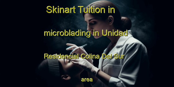 Skinart Tuition in microblading in Unidad Residencial Colina Del Sur area-United Kingdom