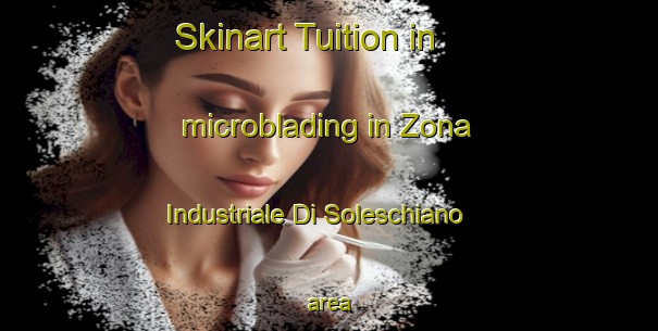 Skinart Tuition in microblading in Zona Industriale Di Soleschiano area-United Kingdom