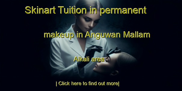 Skinart Tuition in permanent makeup in Anguwan Mallam Alkali area-United Kingdom