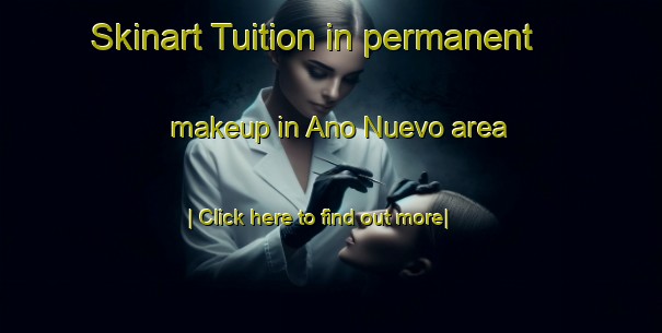 Skinart Tuition in permanent makeup in Ano Nuevo area-United Kingdom