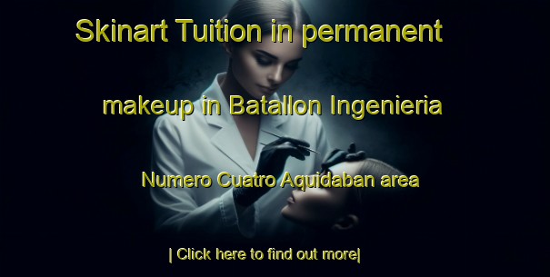 Skinart Tuition in permanent makeup in Batallon Ingenieria Numero Cuatro Aquidaban area-United Kingdom