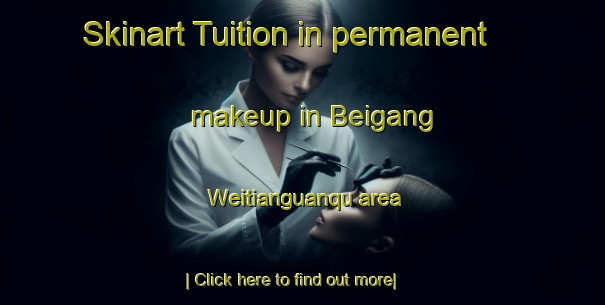 Skinart Tuition in permanent makeup in Beigang Weitianguanqu area-United Kingdom