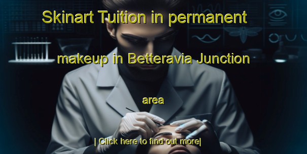 Skinart Tuition in permanent makeup in Betteravia Junction area-United Kingdom