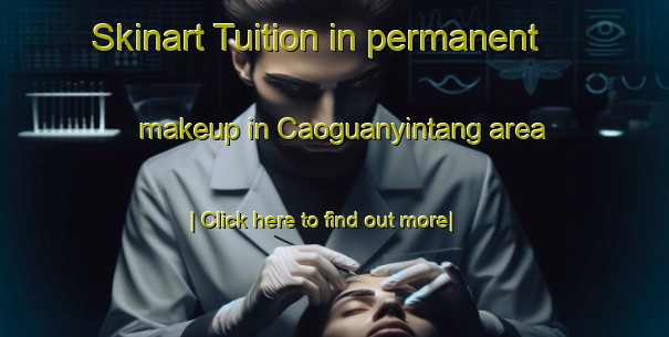 Skinart Tuition in permanent makeup in Caoguanyintang area-United Kingdom