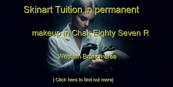 Skinart Tuition in permanent makeup in Chak Eighty Seven R Western Branch area-United Kingdom