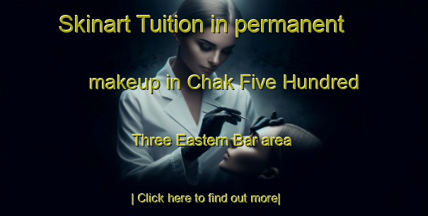 Skinart Tuition in permanent makeup in Chak Five Hundred Three Eastern Bar area-United Kingdom