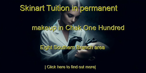 Skinart Tuition in permanent makeup in Chak One Hundred Eight Southern Branch area-United Kingdom