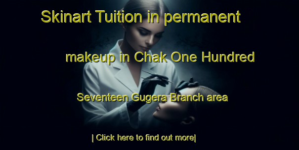 Skinart Tuition in permanent makeup in Chak One Hundred Seventeen Gugera Branch area-United Kingdom