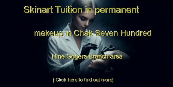 Skinart Tuition in permanent makeup in Chak Seven Hundred Nine Gogera Branch area-United Kingdom