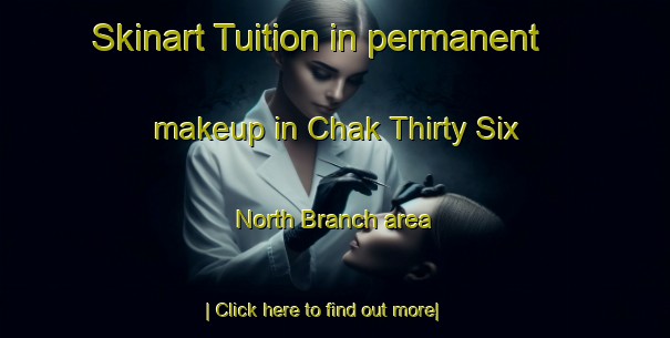 Skinart Tuition in permanent makeup in Chak Thirty Six North Branch area-United Kingdom