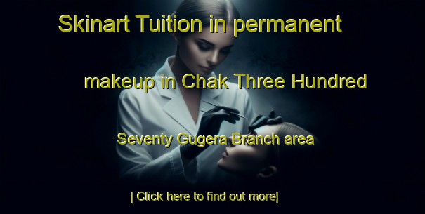 Skinart Tuition in permanent makeup in Chak Three Hundred Seventy Gugera Branch area-United Kingdom