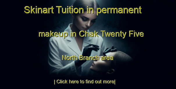 Skinart Tuition in permanent makeup in Chak Twenty Five North Branch area-United Kingdom