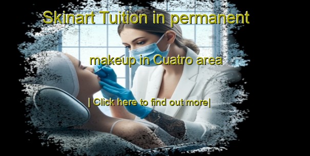 Skinart Tuition in permanent makeup in Cuatro area-United Kingdom