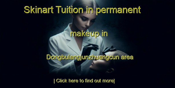 Skinart Tuition in permanent makeup in Dongbulangjunzhuangcun area-United Kingdom