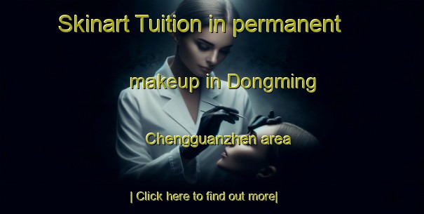 Skinart Tuition in permanent makeup in Dongming Chengguanzhen area-United Kingdom