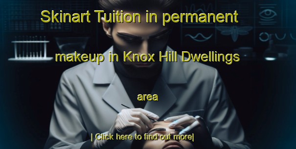 Skinart Tuition in permanent makeup in Knox Hill Dwellings area-United Kingdom