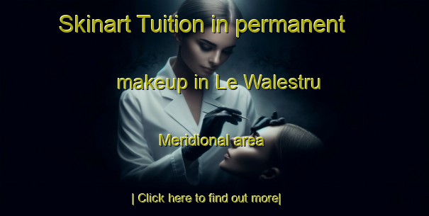 Skinart Tuition in permanent makeup in Le Walestru Meridional area-United Kingdom