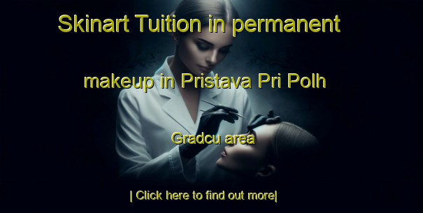 Skinart Tuition in permanent makeup in Pristava Pri Polh  Gradcu area-United Kingdom