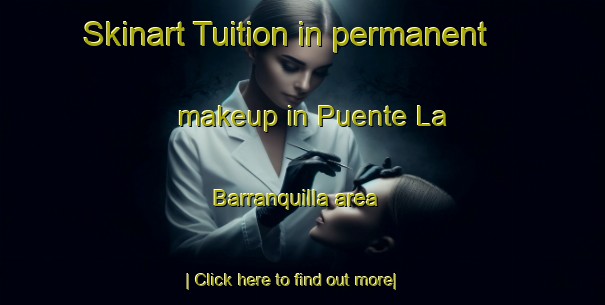 Skinart Tuition in permanent makeup in Puente La Barranquilla area-United Kingdom