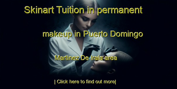 Skinart Tuition in permanent makeup in Puerto Domingo Martinez De Irala area-United Kingdom