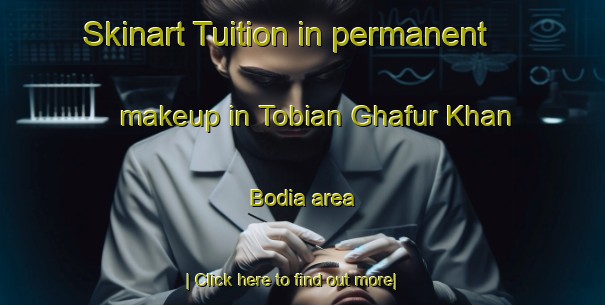 Skinart Tuition in permanent makeup in Tobian Ghafur Khan Bodia area-United Kingdom