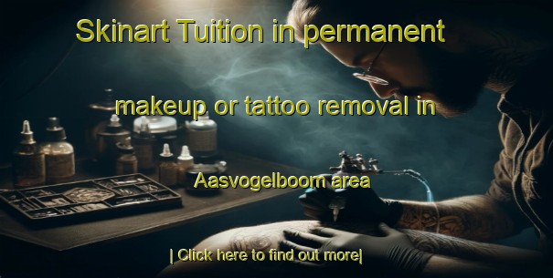 Skinart Tuition in permanent makeup or tattoo removal in Aasvogelboom area-United Kingdom