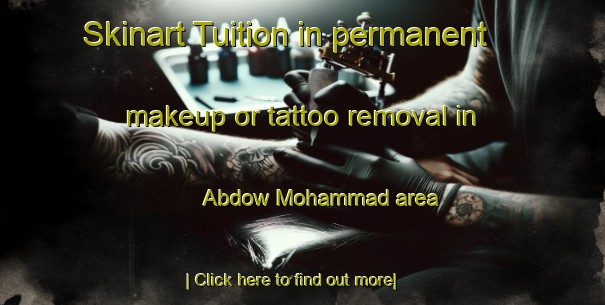 Skinart Tuition in permanent makeup or tattoo removal in Abdow Mohammad area-United Kingdom