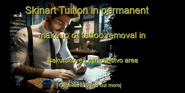 Skinart Tuition in permanent makeup or tattoo removal in Bakurskoye Lesnichestvo area-United Kingdom