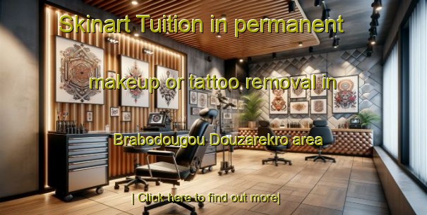 Skinart Tuition in permanent makeup or tattoo removal in Brabodougou Douzarekro area-United Kingdom