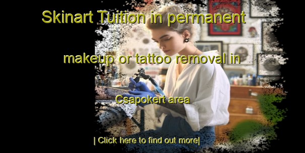 Skinart Tuition in permanent makeup or tattoo removal in Csapokert area-United Kingdom