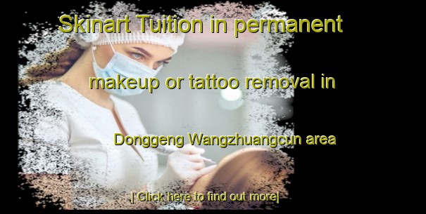 Skinart Tuition in permanent makeup or tattoo removal in Donggeng Wangzhuangcun area-United Kingdom