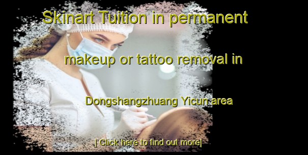 Skinart Tuition in permanent makeup or tattoo removal in Dongshangzhuang Yicun area-United Kingdom