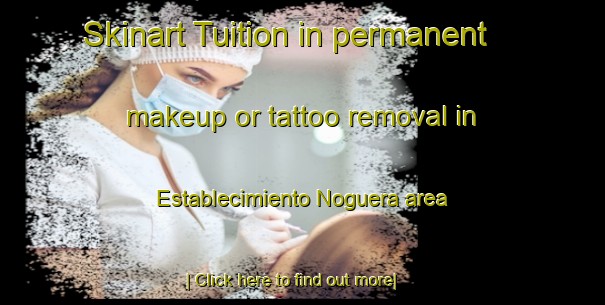 Skinart Tuition in permanent makeup or tattoo removal in Establecimiento Noguera area-United Kingdom