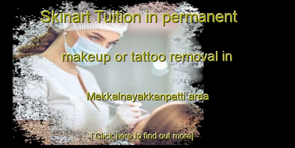 Skinart Tuition in permanent makeup or tattoo removal in Mekkalnayakkanpatti area-United Kingdom