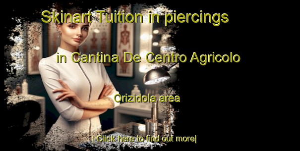 Skinart Tuition in piercings in Cantina De Centro Agricolo Orizidola area-United Kingdom